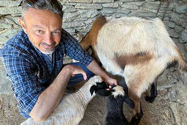 Άρμεγμα κατσίκας στη φάρμα Λουμίδη με τα ζώα στη Σίφνο