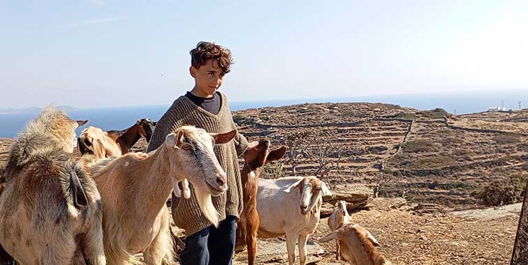Τα ζώα στη Φάρμα του Λουμίδη