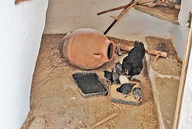 τα κτίσματα στη φάρμα Λουμίδη στη Σίφνο