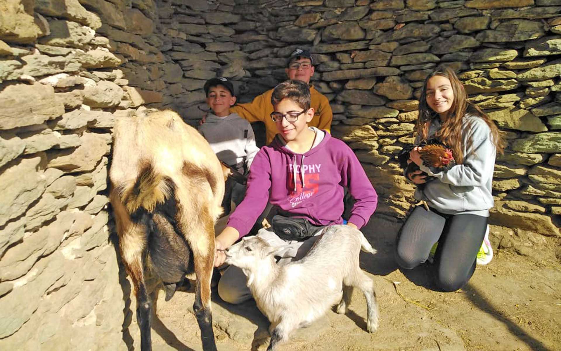 εμπειρία αρμέγματος κατσίκας στη Σίφνο