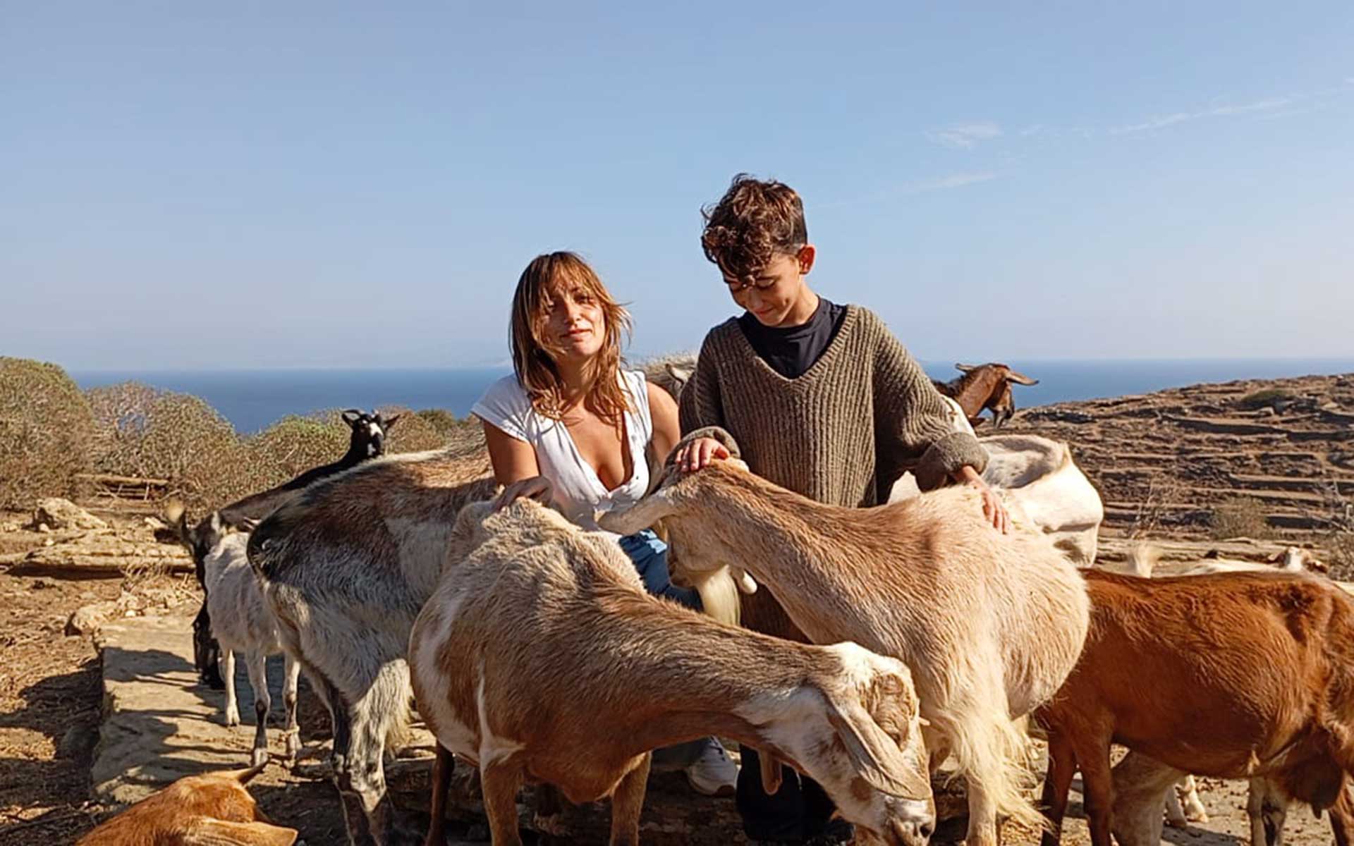 παίζοντας και ταΐζοντας τις κατσίκες στη Σίφνο